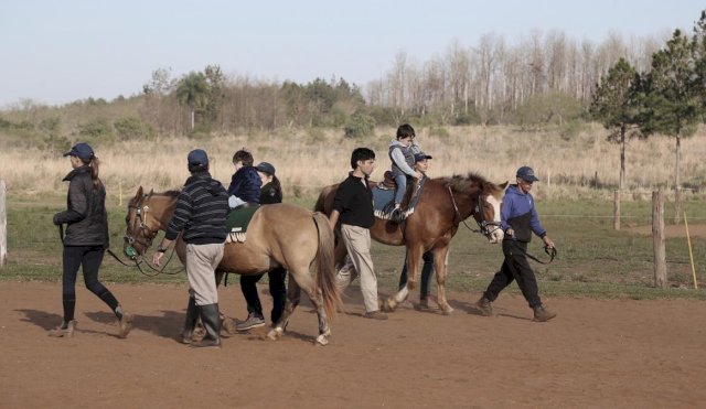 equinoterapia